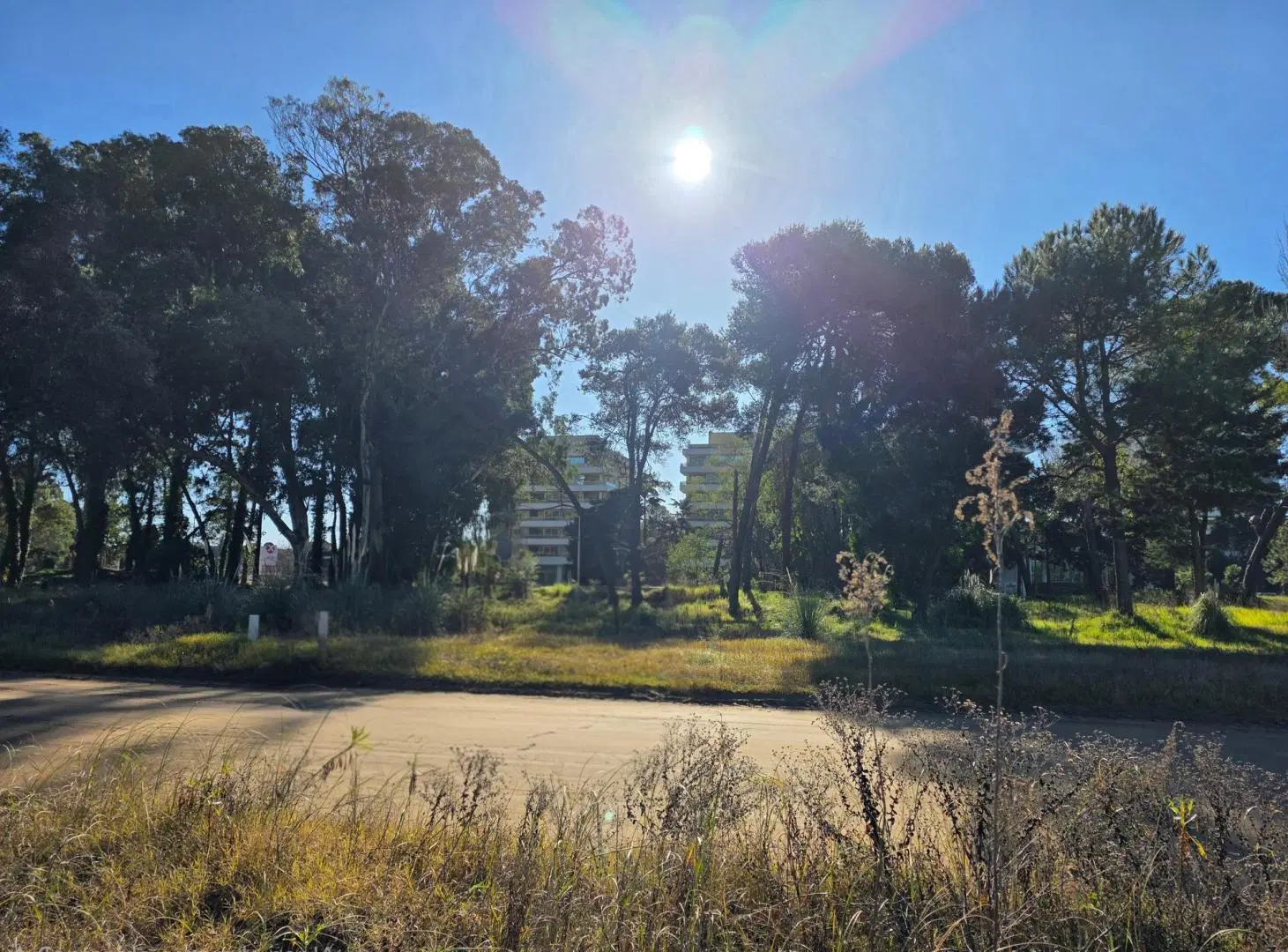 Terreno en Venta - Multifamiliar Hotelero - Inversión Rentable 5