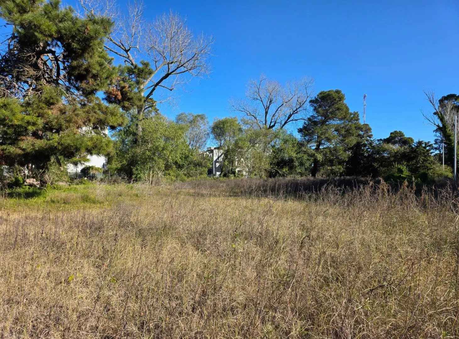 Terreno en Venta - Multifamiliar Hotelero - Inversión Rentable 3