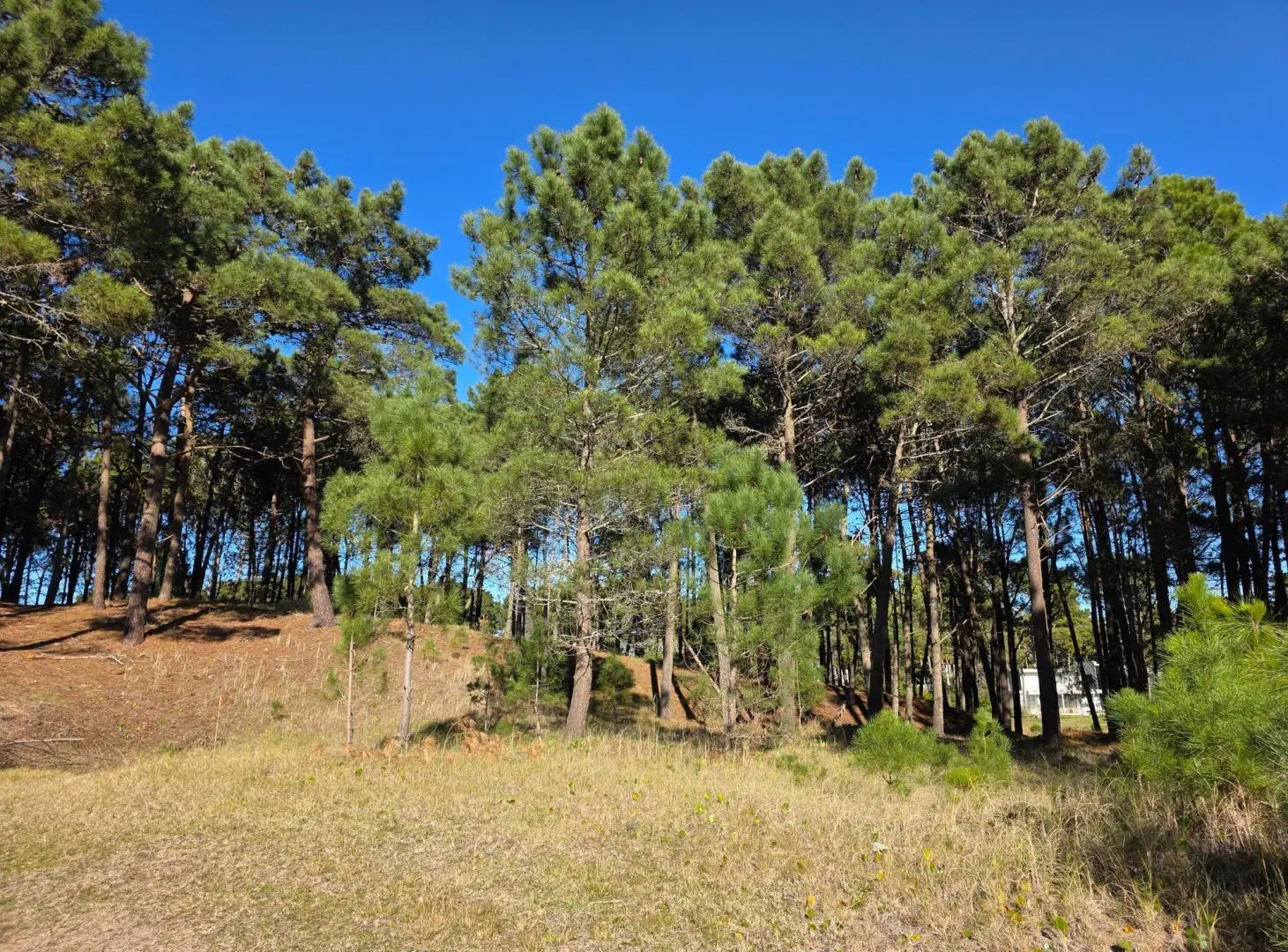 Terreno en Venta - Barrio Álamos - En Altura - 1.714 m² - Cul de Sac 2