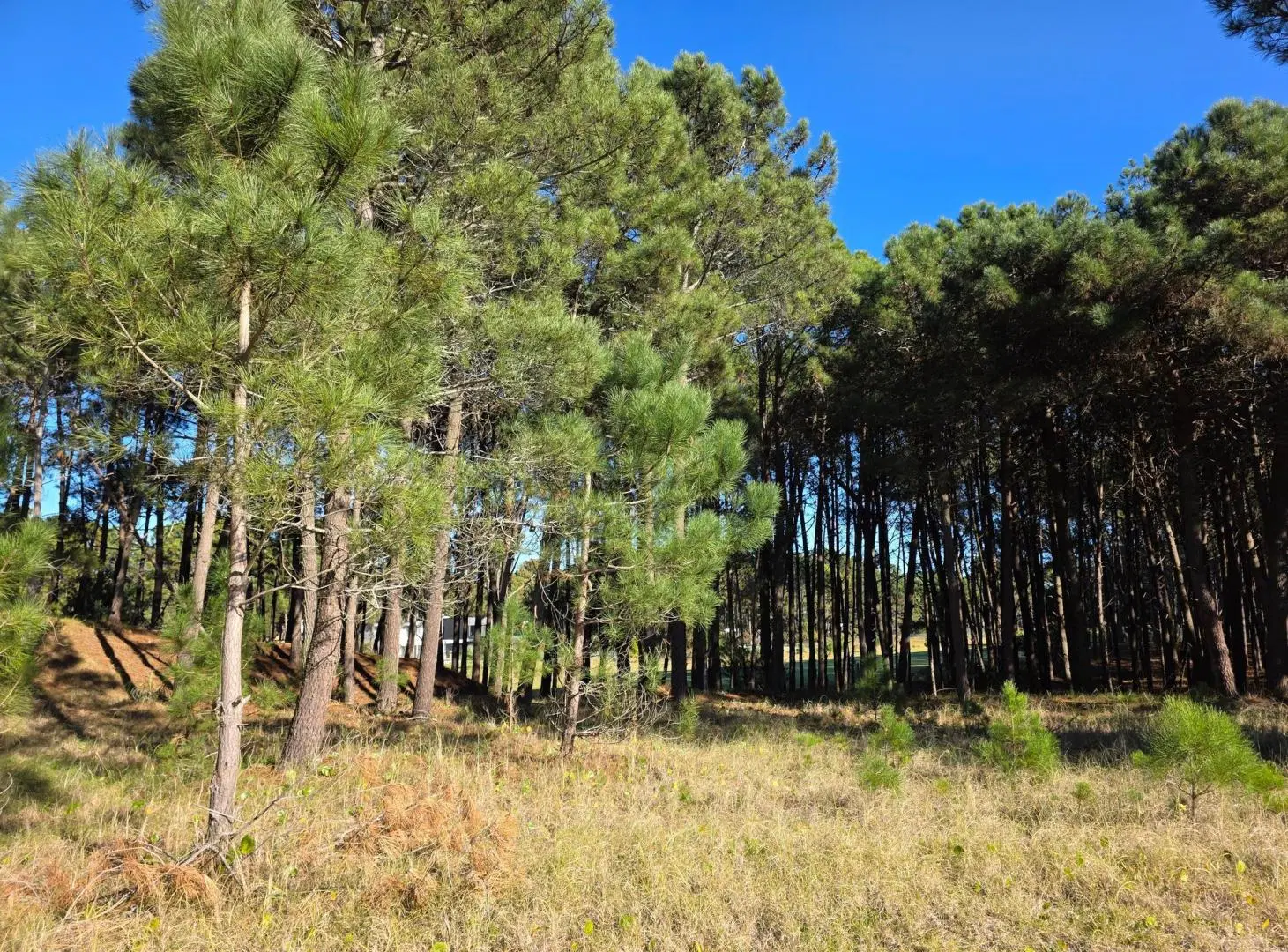 Terreno en Venta - Barrio Álamos - En Altura - 1.714 m² - Cul de Sac 3
