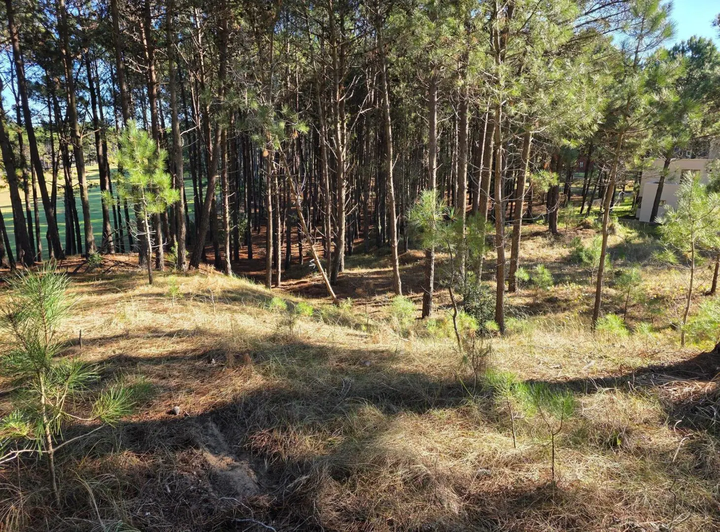 Terreno en Venta - Barrio Álamos - En Altura - 1.714 m² - Cul de Sac 4