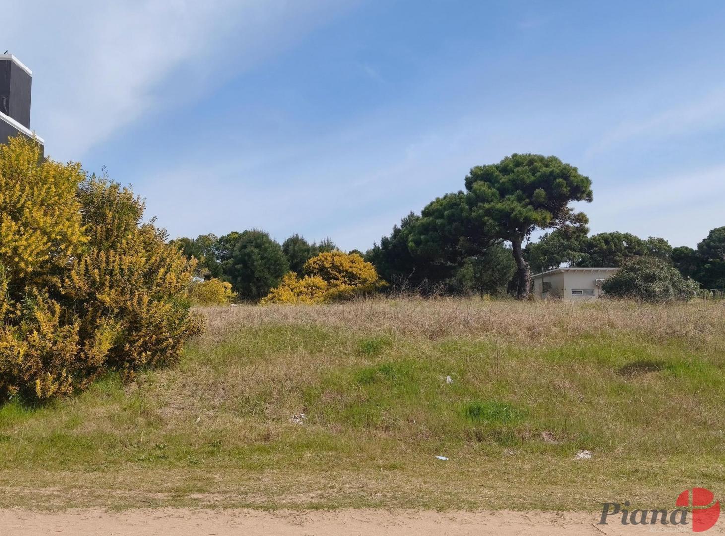 Foto de Terreno en Venta - Nayades - Barrio Residencial - Ideal Vivienda, imagen 2