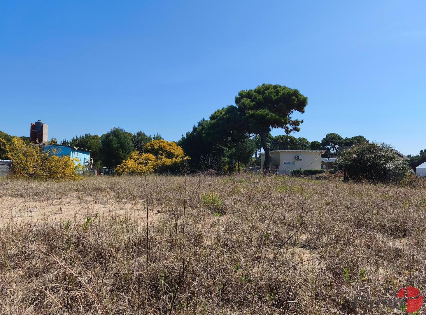 Foto de Terreno en Venta - Nayades - Barrio Residencial - Ideal Vivienda, imagen 3