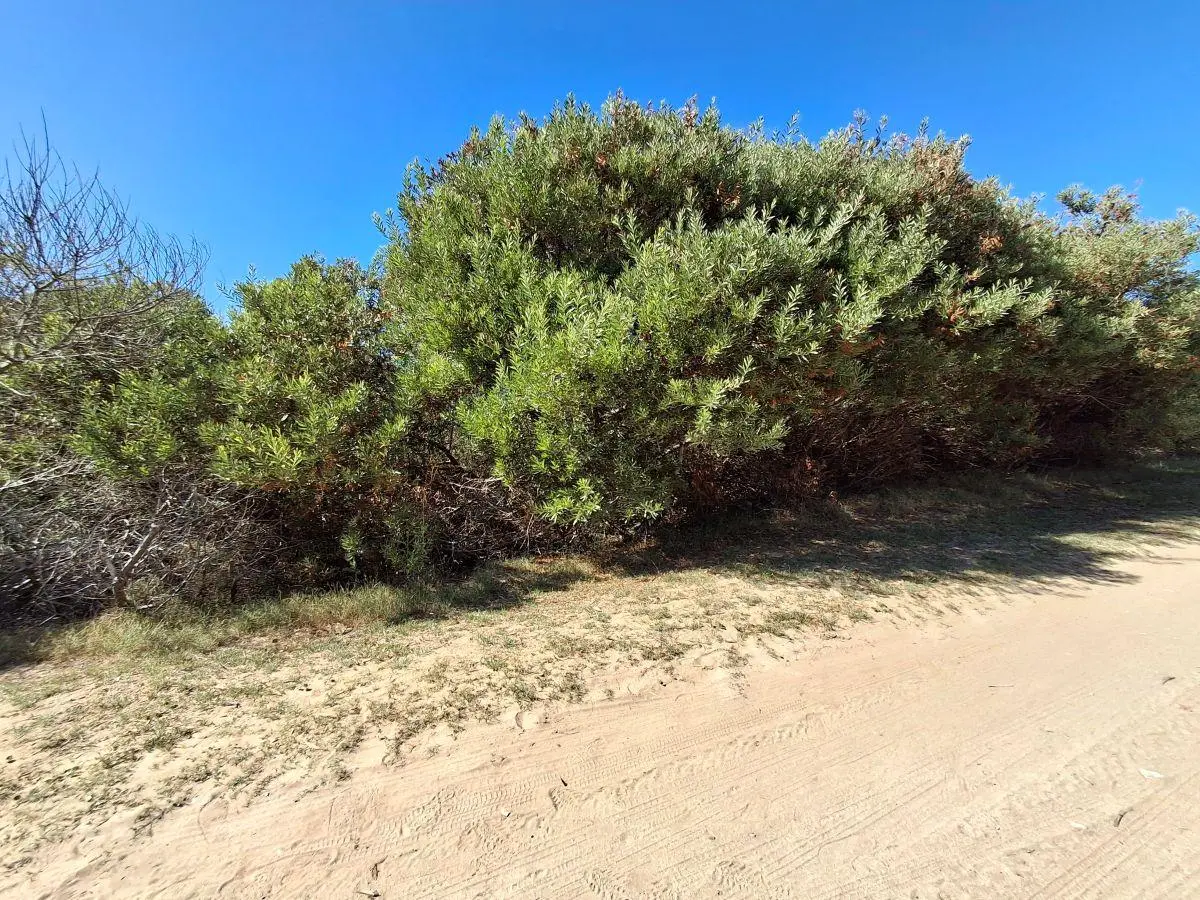 LOTE A LA VENTA EN BARRIO PUNTA MEDANOS REF : 95 3