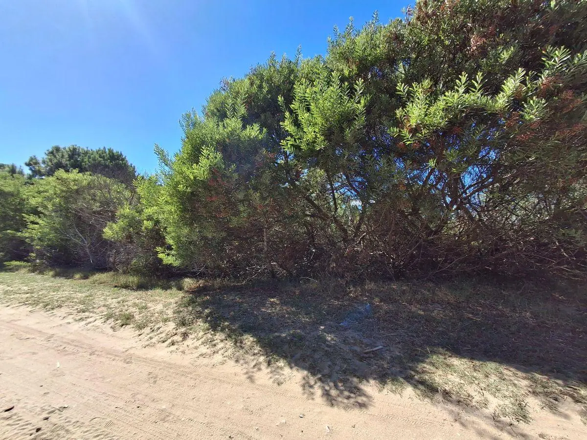 LOTE A LA VENTA EN BARRIO PUNTA MEDANOS REF : 95 2