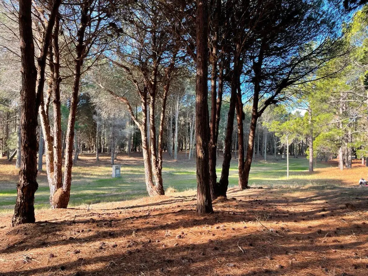 Lote Costayres Costa del Este 1