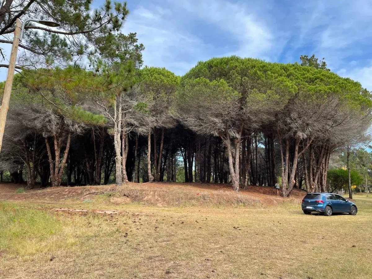 Lote Costayres Costa del Este 2