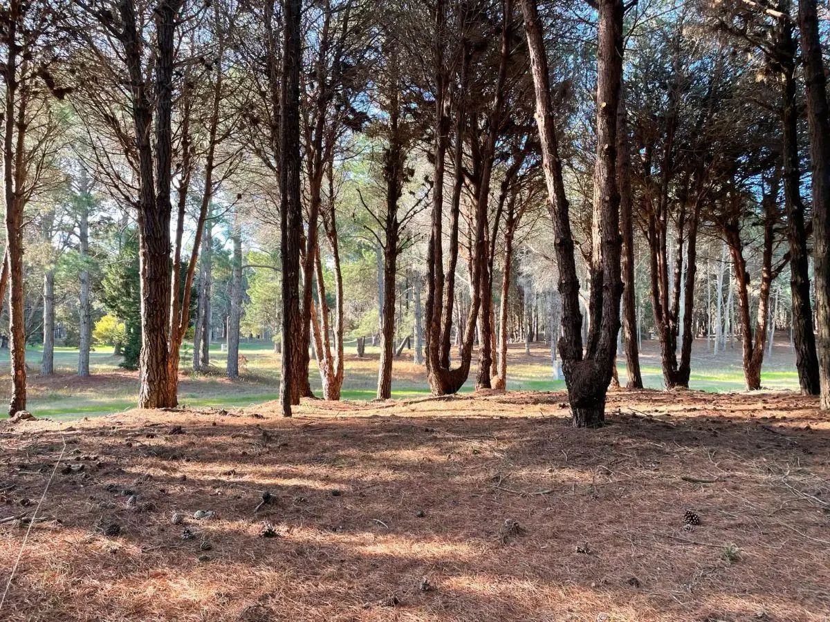 Lote Costayres Costa del Este 4