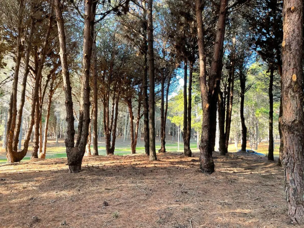Lote Costayres Costa del Este 3