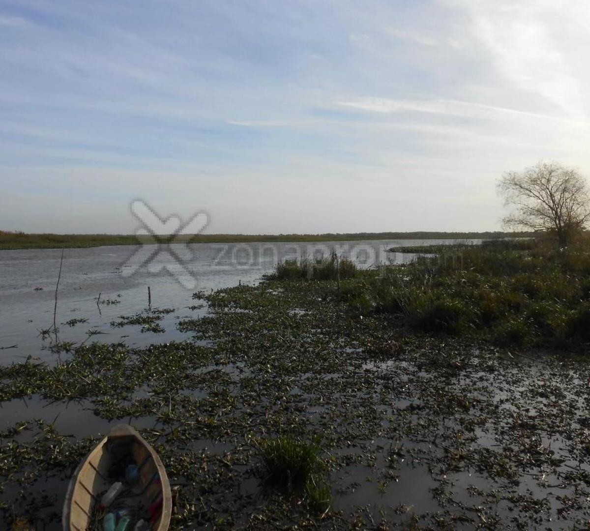 Campo 62 Has. en Isla Aparicio (Isla de Pérez) San Pedro