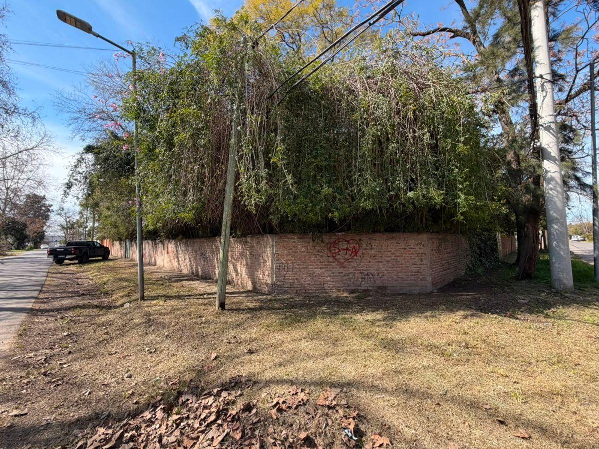 Foto de Lote Esquina Baldio 293 M2 Dorrego Y Letonia En Venta - San Miguel, imagen 2