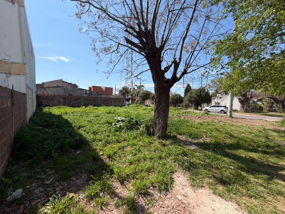 Foto de Terreno en venta en esquina, José C. Paz, 313 mts²., imagen 5