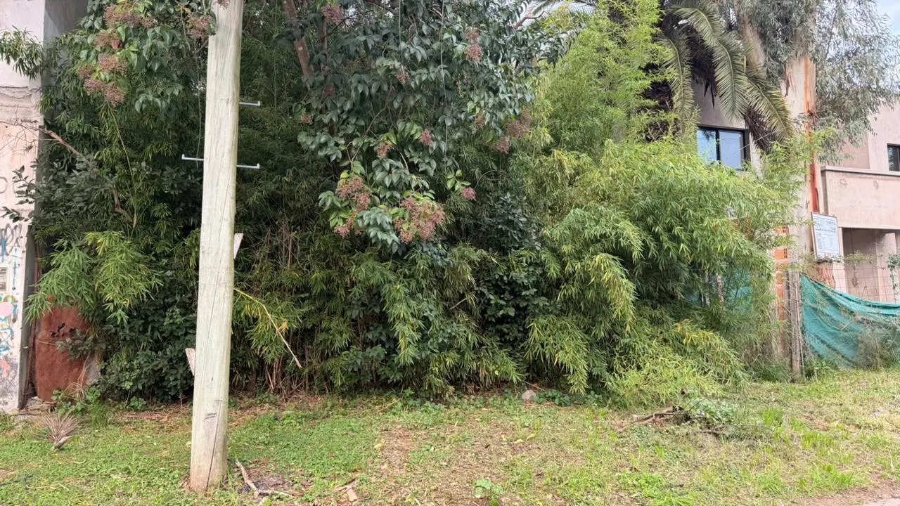 Terreno venta El Talar 4