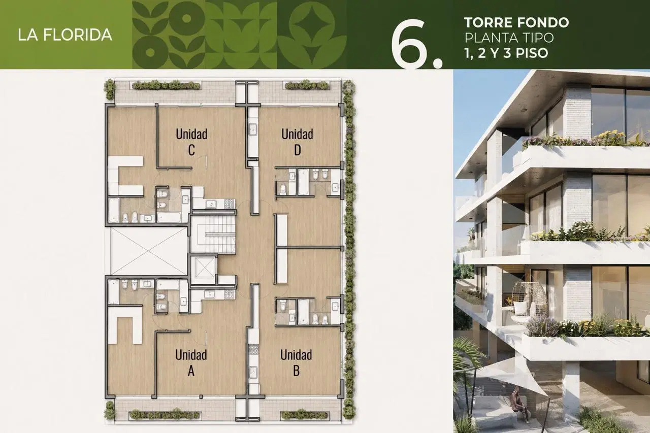 Plano 8