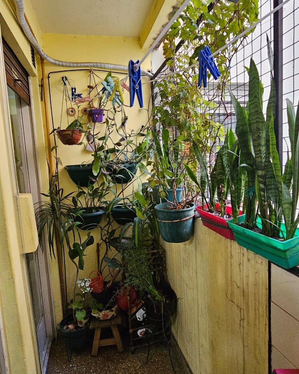 Depto de 3 Ambientes Interno Refaccionado con Balcon y Baño Completo! 2
