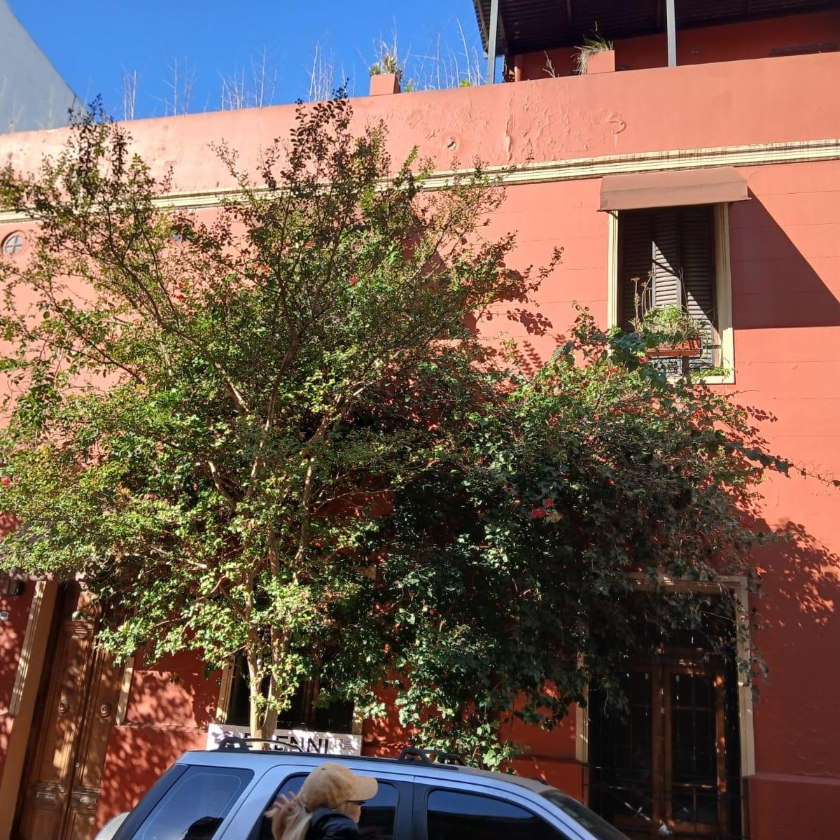 Casa 2 Plantas de 9 Ambientes + Local + Subsuelo San Telmo 2