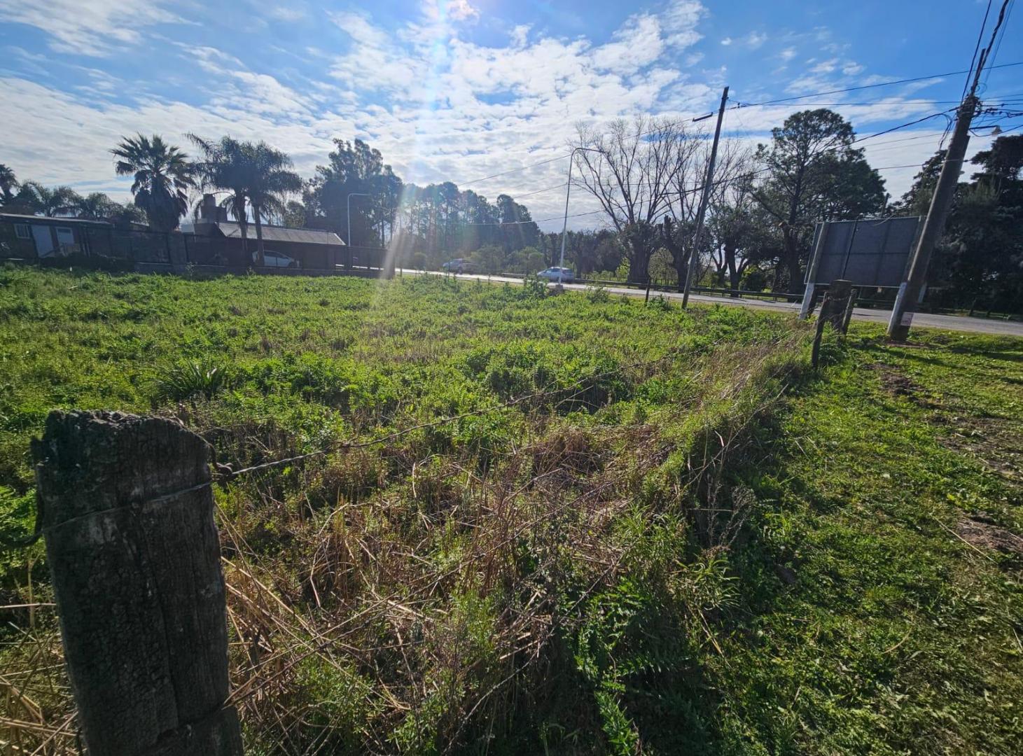 Foto de Terreno en Ibarlucea, imagen 2