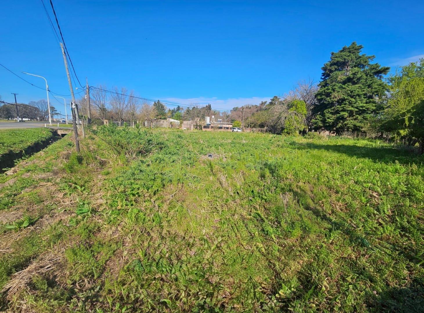 Foto de Terreno en Ibarlucea, imagen 1