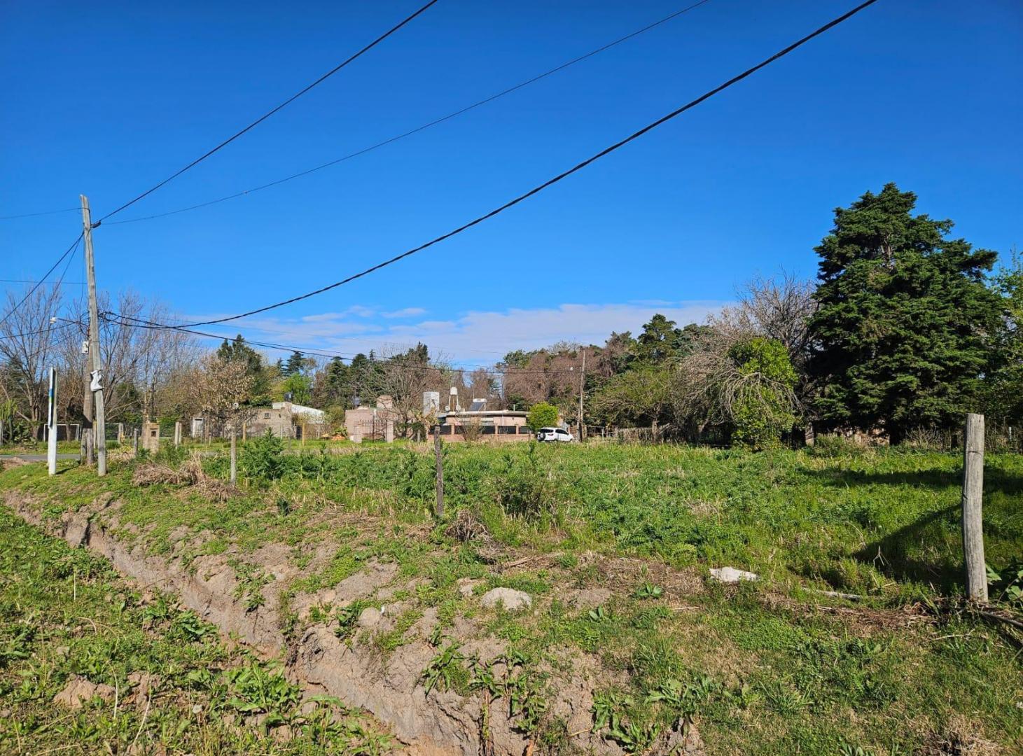 Foto de Terreno en Ibarlucea, imagen 5