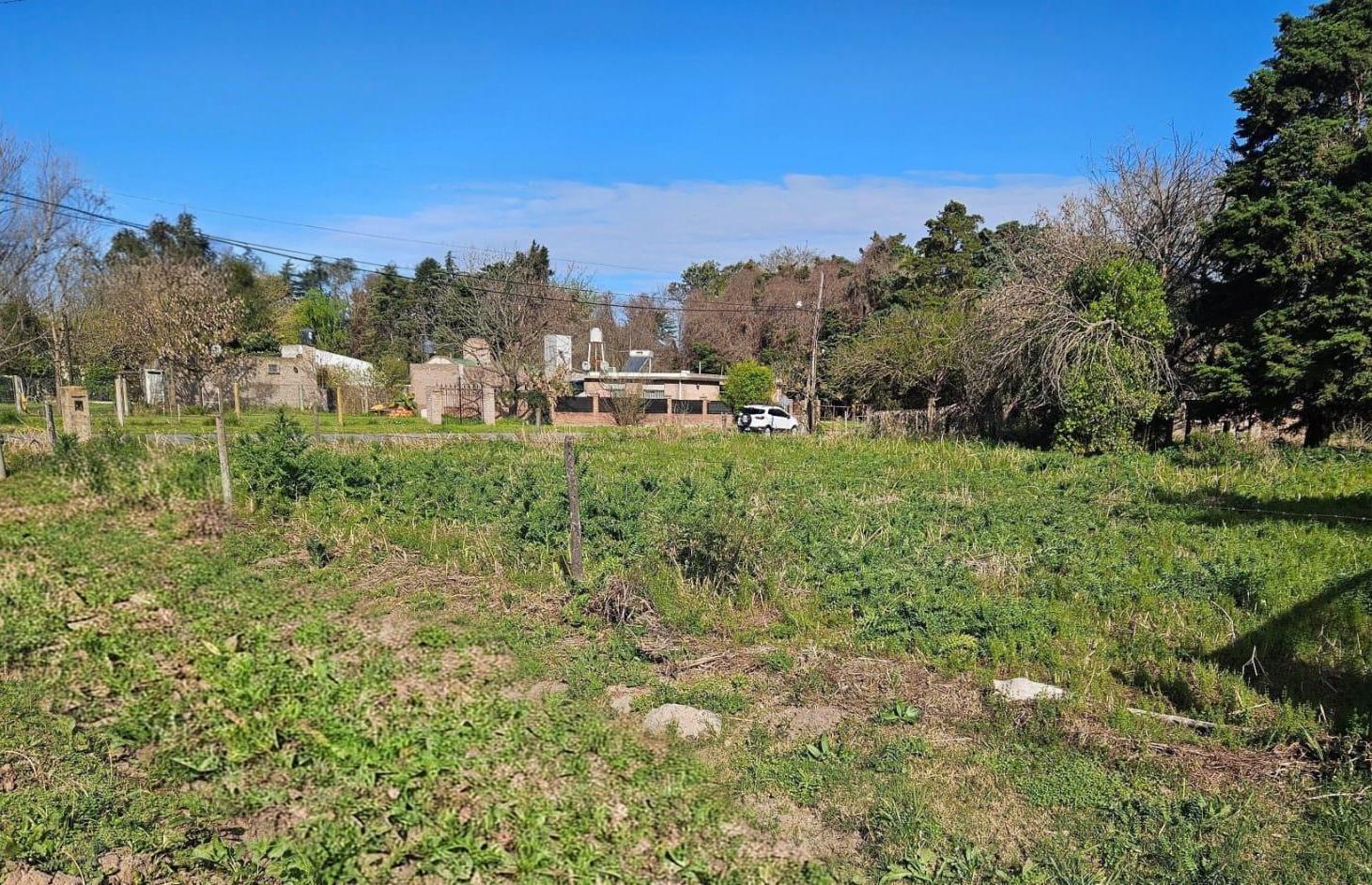 Foto de Terreno en Ibarlucea, imagen 3