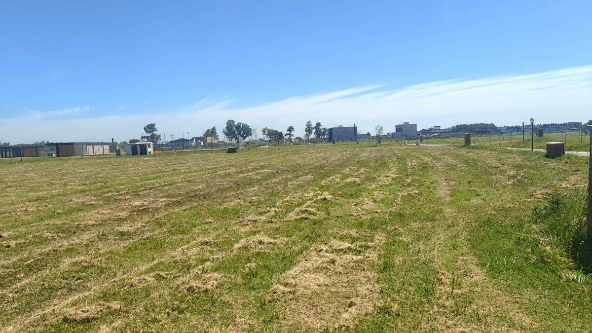 LOTE BARRIO SAN ROQUE, CANNING, EZEIZA
