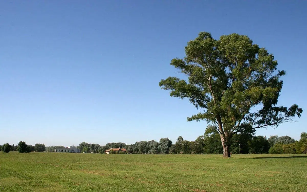 VENTA LOTE CLUB DE CAMPO LA RANITA 2