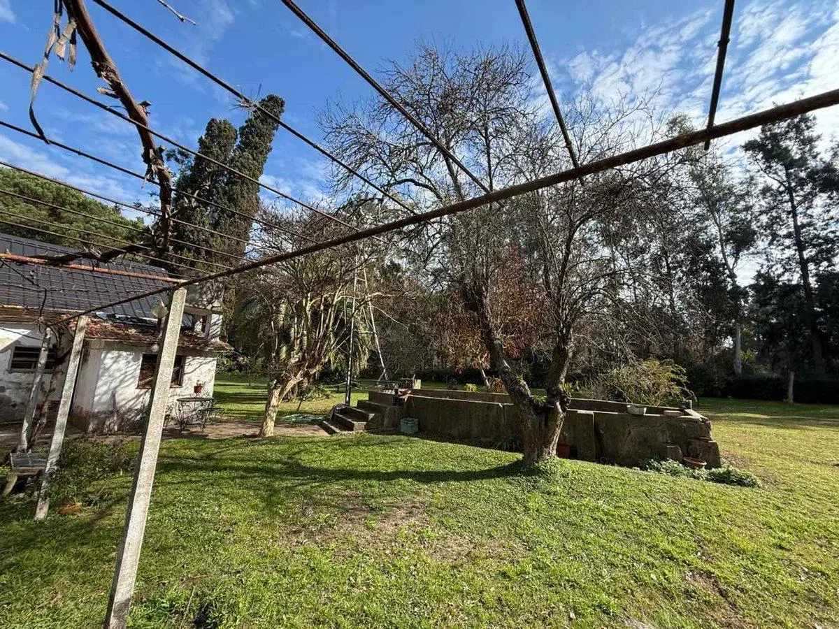 2 lotes juntos – 8066 m² totales – El Pato 3