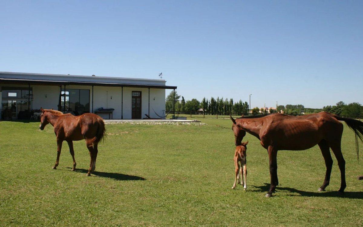 Foto de VENTA LOTE CLUB DE CAMPO LA RANITA, imagen 1