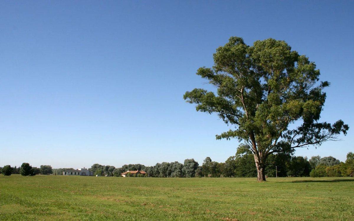 Foto de VENTA LOTE CLUB DE CAMPO LA RANITA, imagen 2
