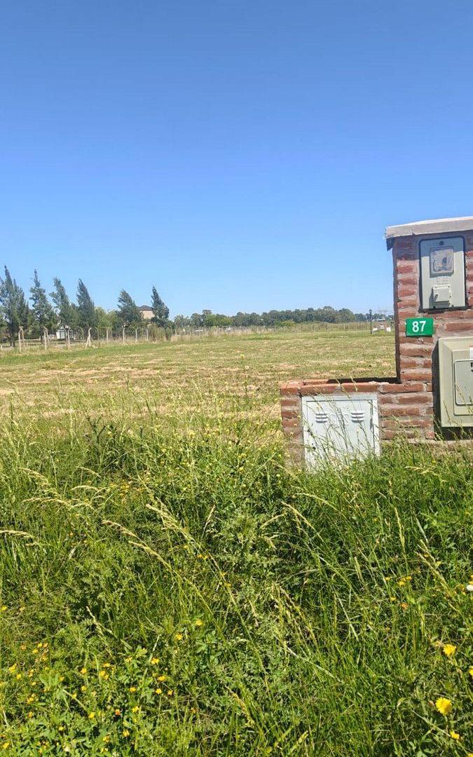 Foto de LOTE BARRIO SAN ROQUE, CANNING, EZEIZA, imagen 2