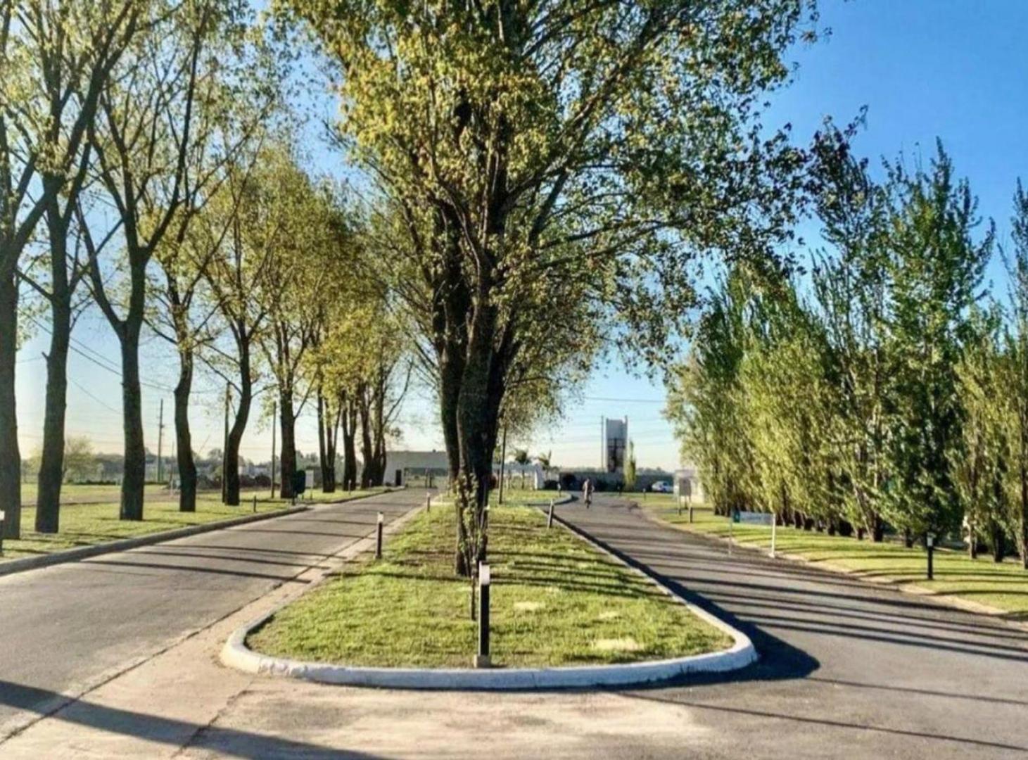 Foto de TERRENO EN VENTA LA ALAMEDA ETAPA II CANNING, imagen 3