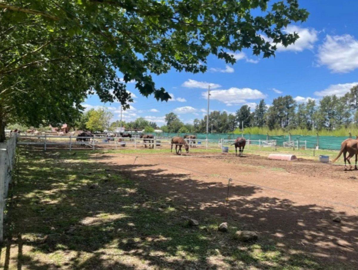 Foto de Venta de Lote en Haras del Sol - 1.500 m², imagen 4
