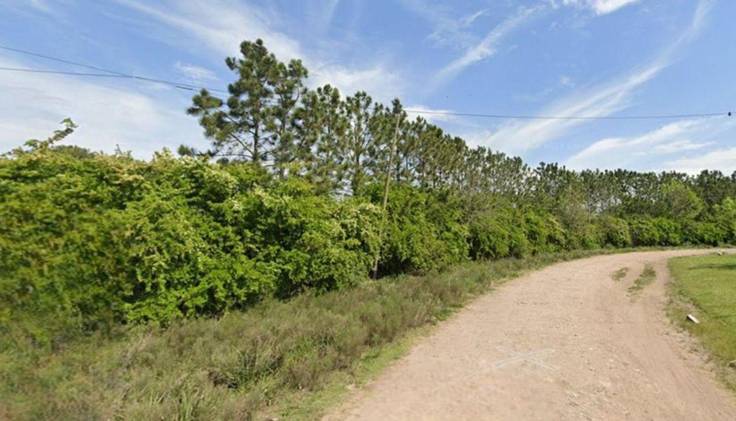 Foto de VENTA 2 TERRENOS EN 20 DE JUNIO 6288m² ESQUINA, imagen 2