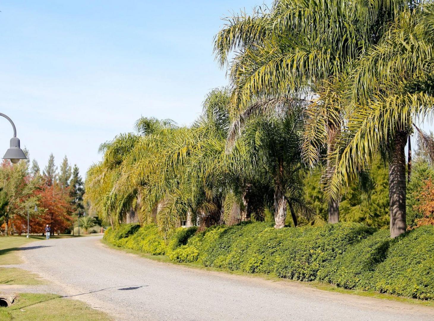Foto de VENTA - LOTE ALTOS DE BRANDSEN, imagen 4