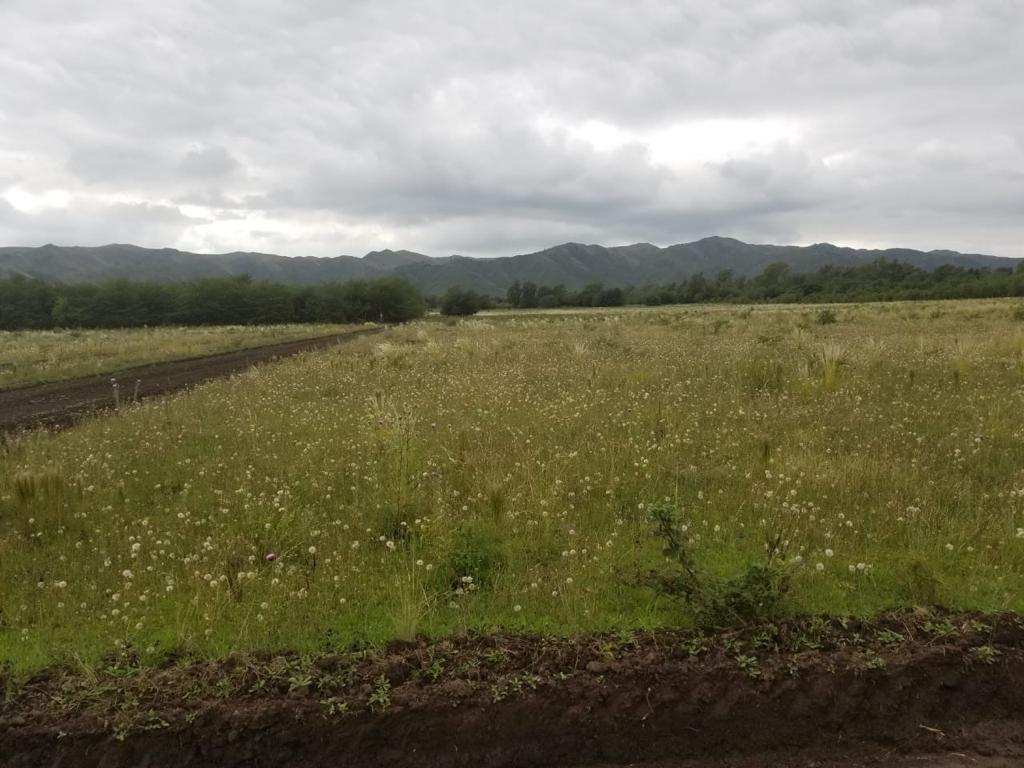 Foto de Terreno Lote en Venta ubicado en Calamuchita, Córdoba, Argentina, imagen 4