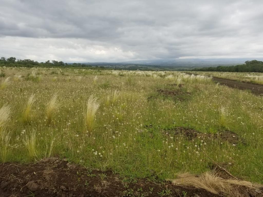 Foto de Terreno Lote en Venta ubicado en Calamuchita, Córdoba, Argentina, imagen 1