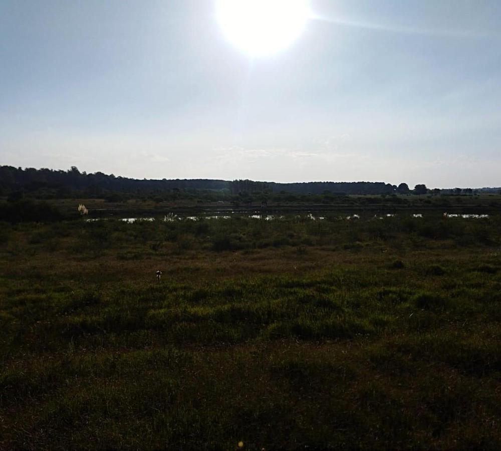 Foto de Terreno Lote en Venta ubicado en El Golf, Carmelo, Colonia, imagen 4