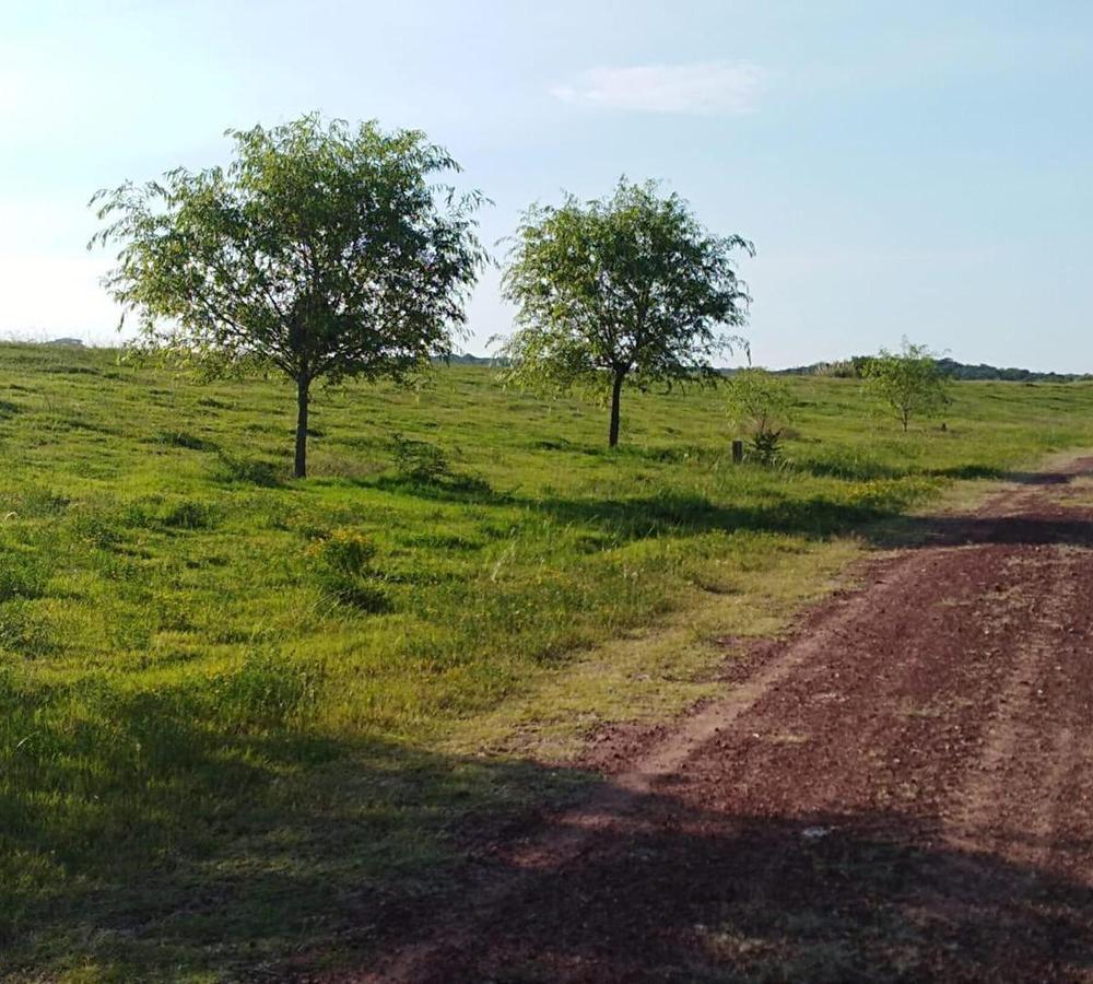 Foto de Terreno Lote en Venta ubicado en El Golf, Carmelo, Colonia, imagen 3