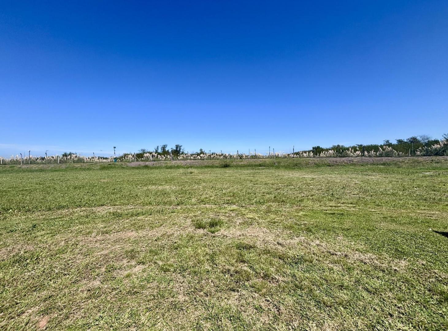 Foto de LOTE EN VENTA EN SAN SEBASTIAN AREA 10, imagen 4