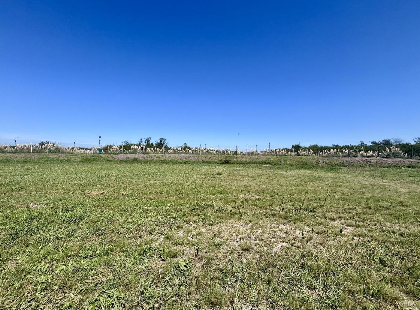 Foto de LOTE EN VENTA EN SAN SEBASTIAN AREA 10, imagen 5