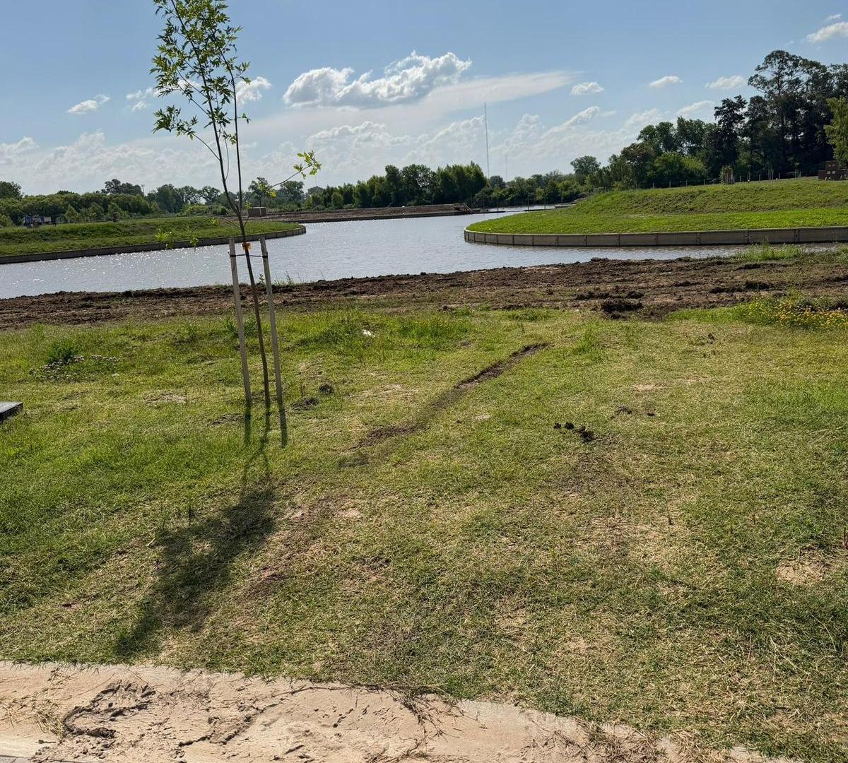 Foto de LOTE AL RIO EN BAHIA VILLANUEVA, imagen 5