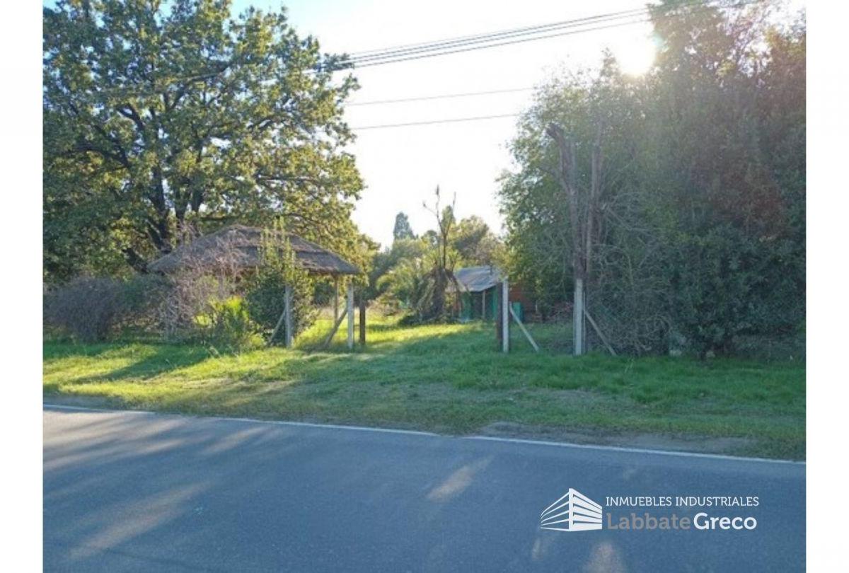 Lote . | Colectora Ramal Pilar km 63