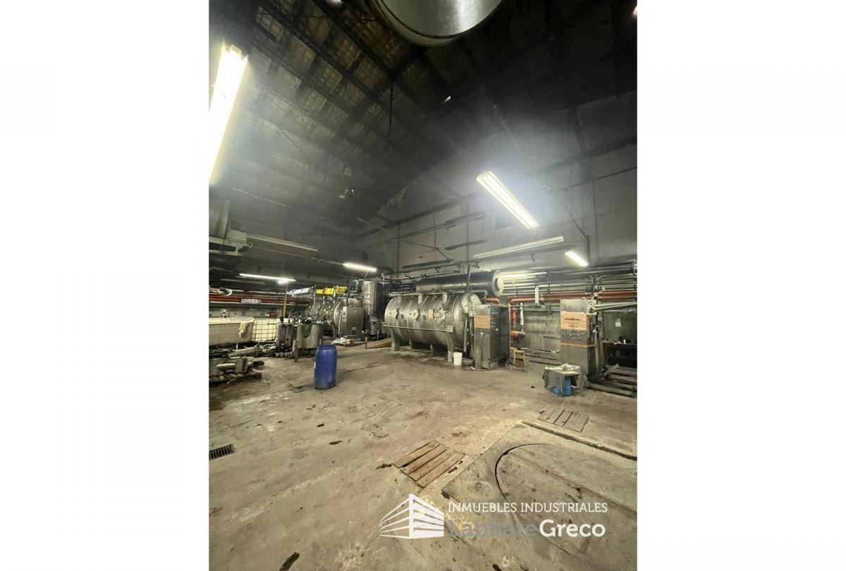 Foto de Galpón . | Catalina de Boyle al 3700, imagen 5