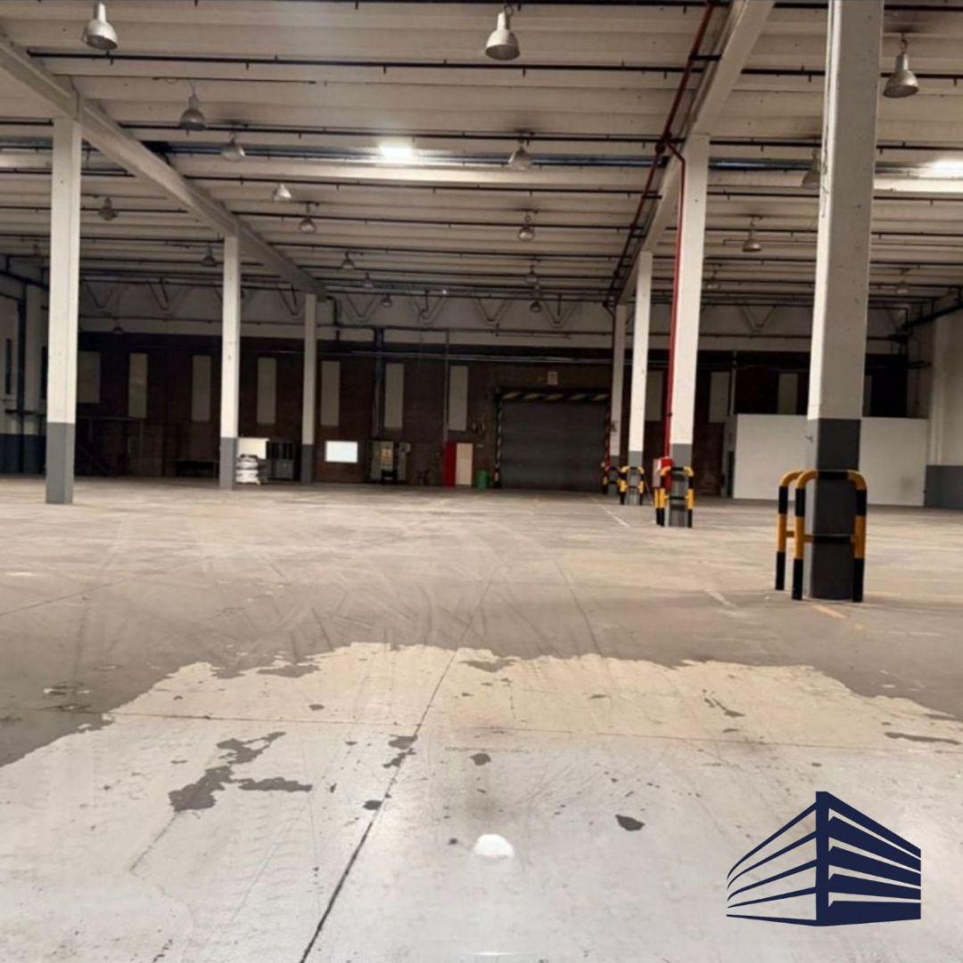 Foto de 5200m2 EN ALQUILER - GOOD PARK PODESTÁ, imagen 3