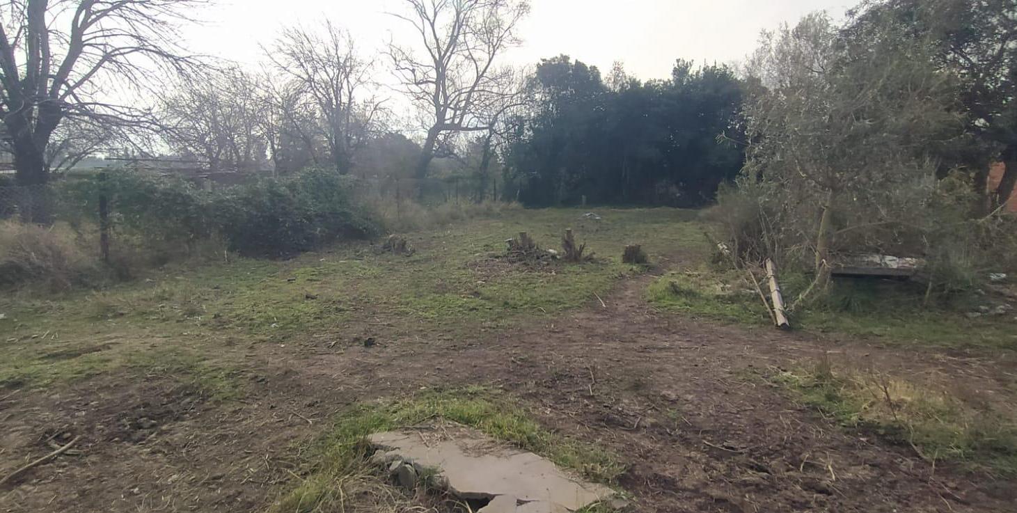 Foto de LOTE EN LA CAROLINA - ALVEAR, imagen 2