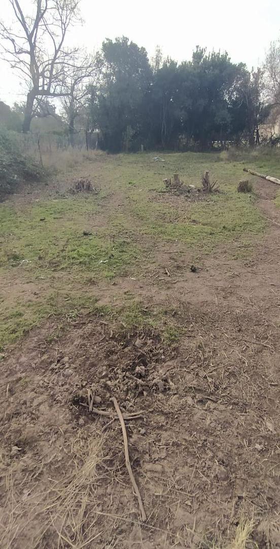 Foto de LOTE EN LA CAROLINA - ALVEAR, imagen 3