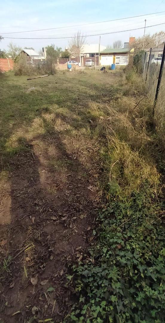 Foto de LOTE EN LA CAROLINA - ALVEAR, imagen 1