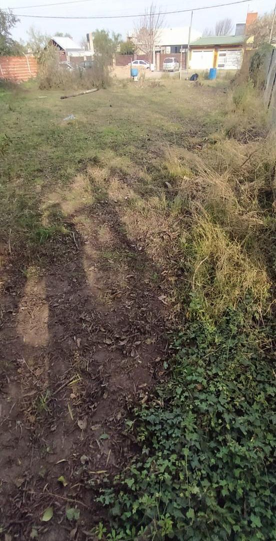 Foto de LOTE EN LA CAROLINA - ALVEAR, imagen 5
