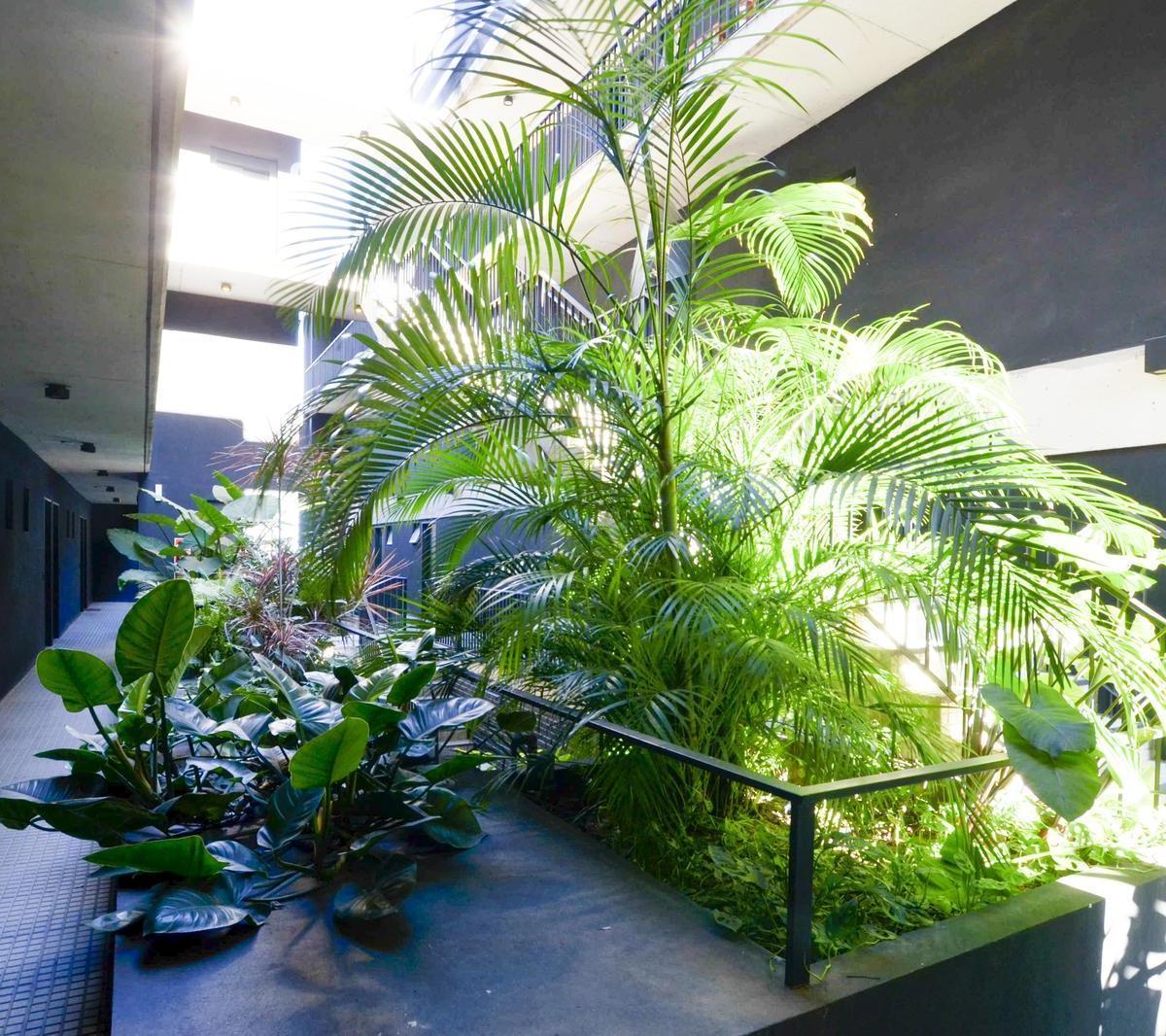 Espectacular Triplex con Terraza Propia en El Doho 4