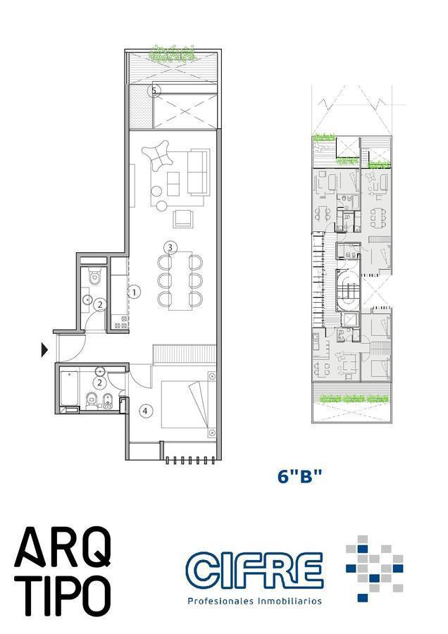 Plano 8